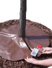 Place Around Tree Trunk...